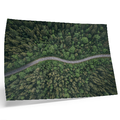 Póster Carretera serpenteante en medio de un bosque verde, ambiente tranquilo