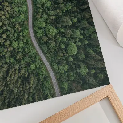 Póster carretera serpenteante en un bosque verde con ambiente tranquilo