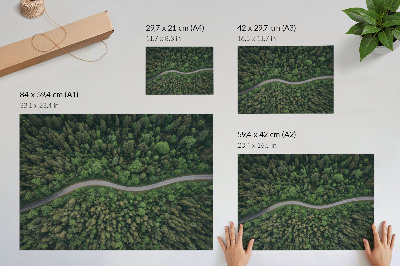 Póster Carretera serpenteante en medio de un bosque verde, ambiente tranquilo