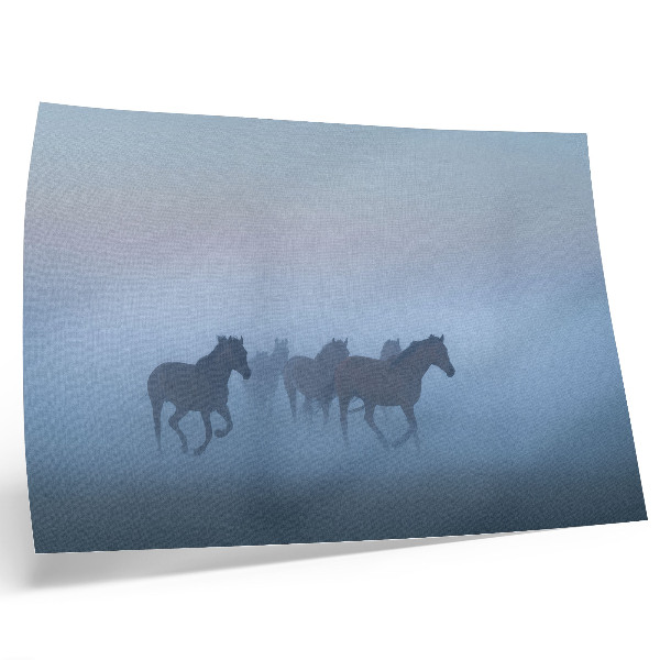 Póster caballos en la niebla con una composición relajante y llena de paz