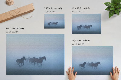 Póster caballos en la niebla con una composición relajante y llena de paz