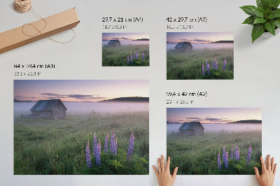 Arte de pared Cabaña de madera pintoresca niebla flores naturaleza