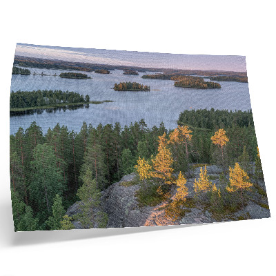 Póster Isla de bosque de pinos, lago, cielo pastel