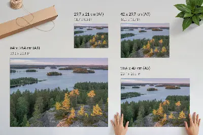 Póster isla en un bosque de pinos con lago y cielo en tonos pastel
