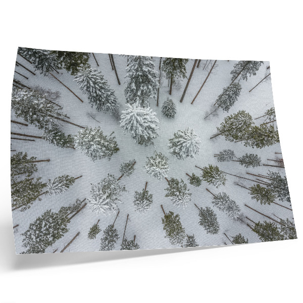 Lámina para cuadro Bosque invernal paz minimalismo naturalidad