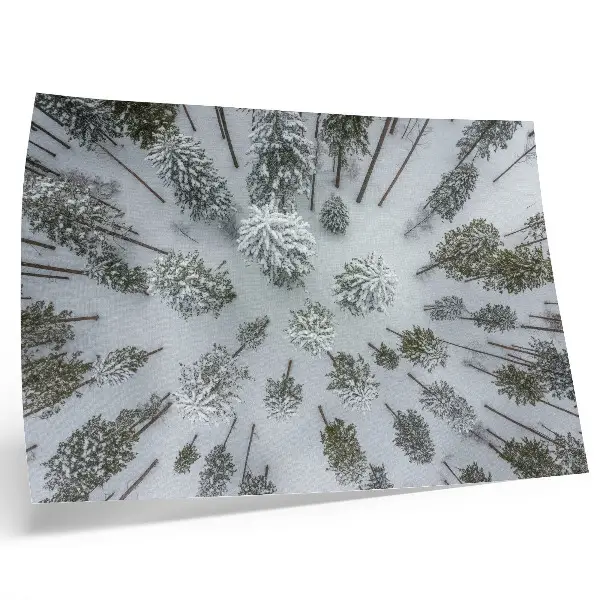 Lámina para cuadro diseño de bosque invernal minimalista