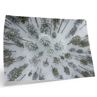 Lámina para cuadro Bosque invernal paz minimalismo naturalidad