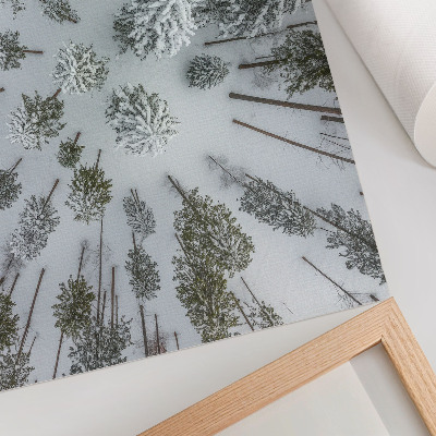 Lámina para cuadro Bosque invernal paz minimalismo naturalidad