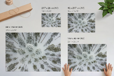 Lámina para cuadro Bosque invernal paz minimalismo naturalidad