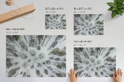 Lámina para cuadro diseño de bosque invernal minimalista