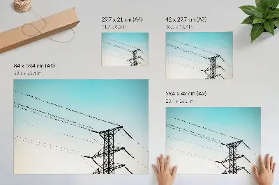 Arte de pared pájaros en los cables de alta tensión sobre un cielo azul