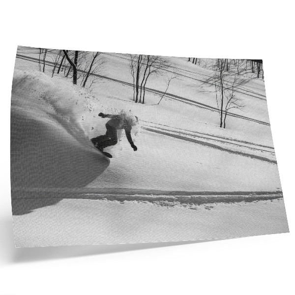 Póster Snowboarder en acción, árboles de nieve, contrastes