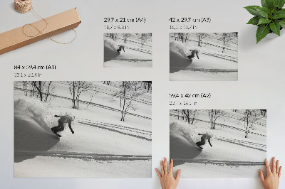 Póster Snowboarder en acción, árboles de nieve, contrastes