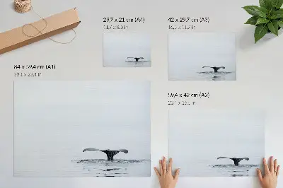 Póster cola de ballena sobre el agua con diseño minimalista y armonioso