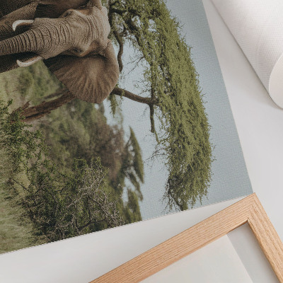 Póster un elefante con el verde paisaje de la sabana de fondo