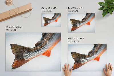 Lámina para cuadro Escamas naturales y colores dinámicos en primer plano.