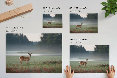 Póster Ciervos con el telón de fondo de prados brumosos y bosque.