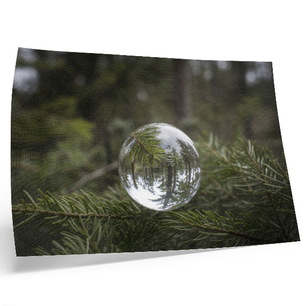 Lámina para cuadro Una bola de cristal sobre un fondo de ramas de pino.