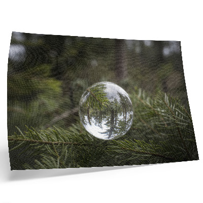 Lámina para cuadro Una bola de cristal sobre un fondo de ramas de pino.