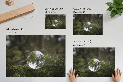 Lámina para cuadro Una bola de cristal sobre un fondo de ramas de pino.
