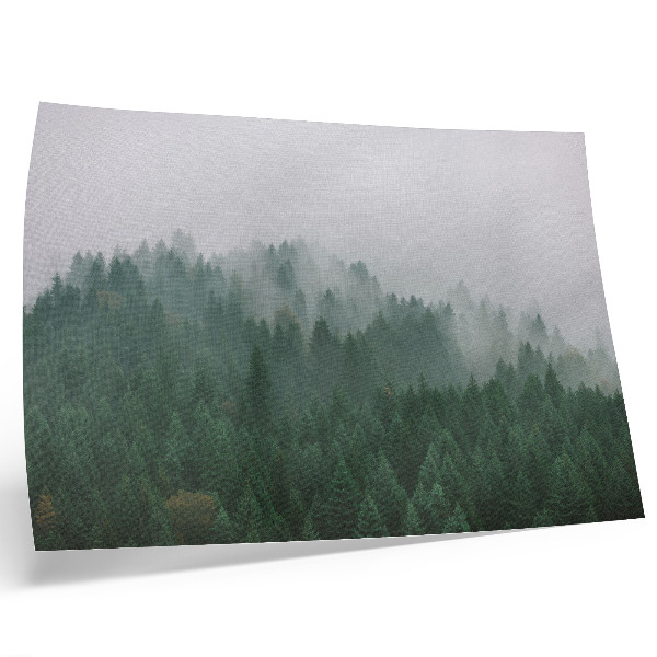 Arte de pared Un panorama brumoso de un bosque lleno de verde y gris.