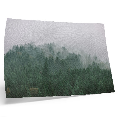 Arte de pared Un panorama brumoso de un bosque lleno de verde y gris.