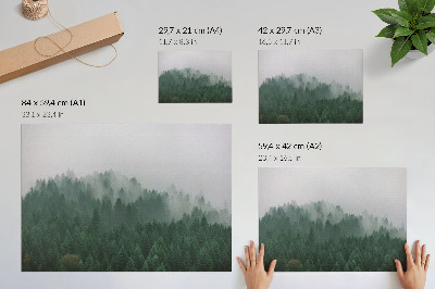 Arte de pared Un panorama brumoso de un bosque lleno de verde y gris.
