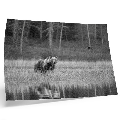 Póster oso junto al agua con atmósfera en blanco y negro