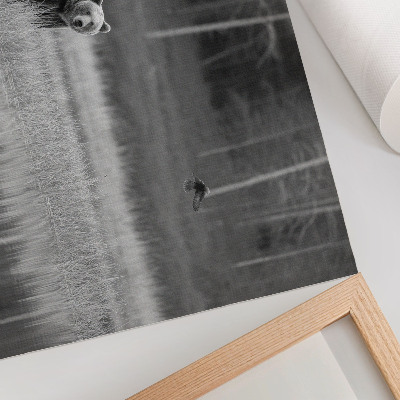 Póster oso junto al agua con atmósfera en blanco y negro