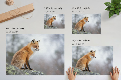 Arte de pared zorro en el paisaje invernal con la suave paz de la naturaleza