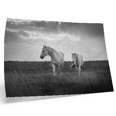Lámina para cuadro con caballos blancos en un prado de tonos grises