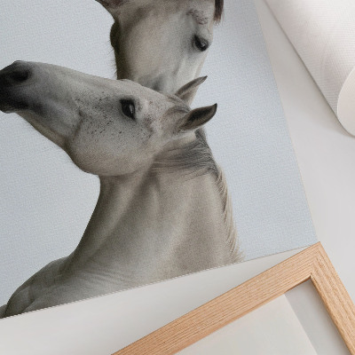 Póster dos caballos en armonía de gris y blanco