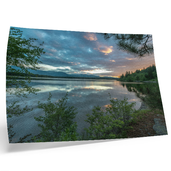 Arte de pared Reflejos del lago, cielo verde, árboles tranquilos