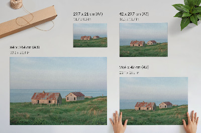 Póster Edificios rústicos, verdes prados, mar