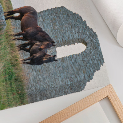 Arte de pared El contraste entre ruinas y caballos en la vegetación.