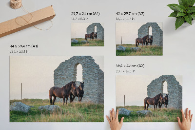Arte de pared El contraste entre ruinas y caballos en la vegetación.