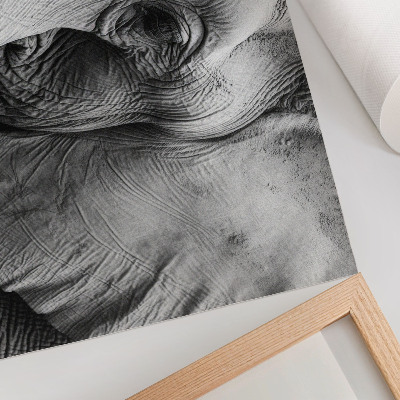 Póster Elefante monocromático, detalles minimalistas, elegancia.