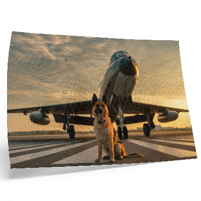 Arte de pared Perro y avión al atardecer: una imagen única.