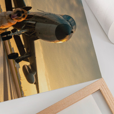 Arte de pared Perro y avión al atardecer: una imagen única.
