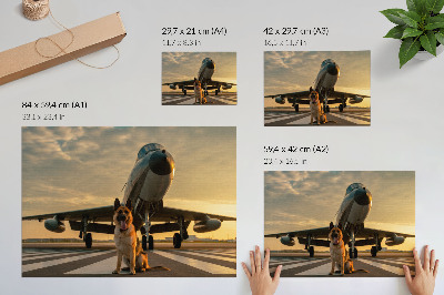 Arte de pared Perro y avión al atardecer: una imagen única.