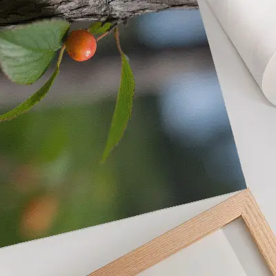 Póster de un fruto naranja con hojas verdes y corteza marrón