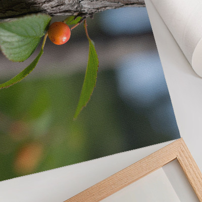 Póster Fruto naranja, hojas verdes, corteza marrón