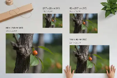 Póster de un fruto naranja con hojas verdes y corteza marrón