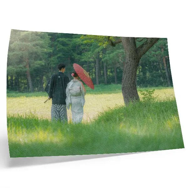 Póster ropa tradicional con paraguas en un prado verde entre árboles