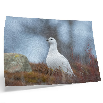 Póster Un pájaro blanco en un entorno invernal.