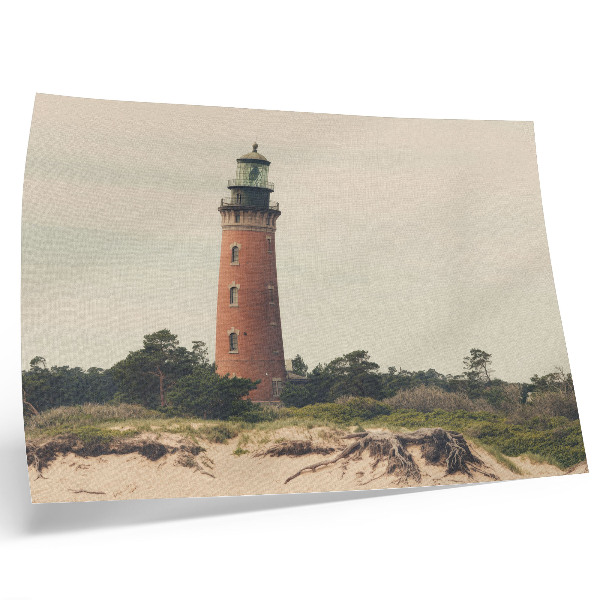 Póster Faro, arena, árboles, armonía de la naturaleza