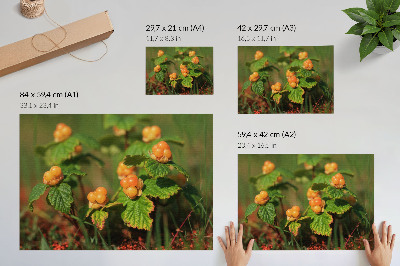 Arte de pared Hojas verdes, frutos naranjas, encanto natural