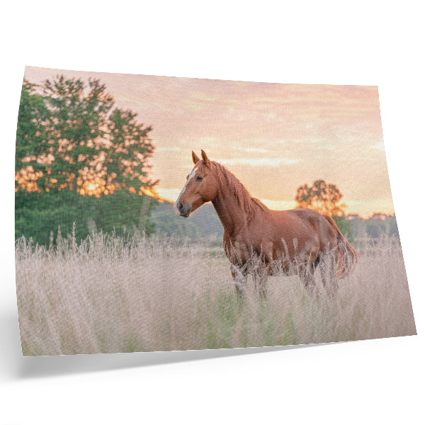 Póster caballo en el prado por la mañana con colores pastel y estilo relajante