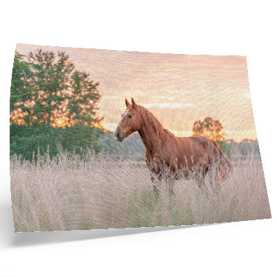 Póster caballo en el prado por la mañana con colores pastel y estilo relajante