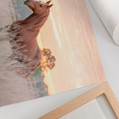 Póster caballo en el prado por la mañana con colores pastel y estilo relajante